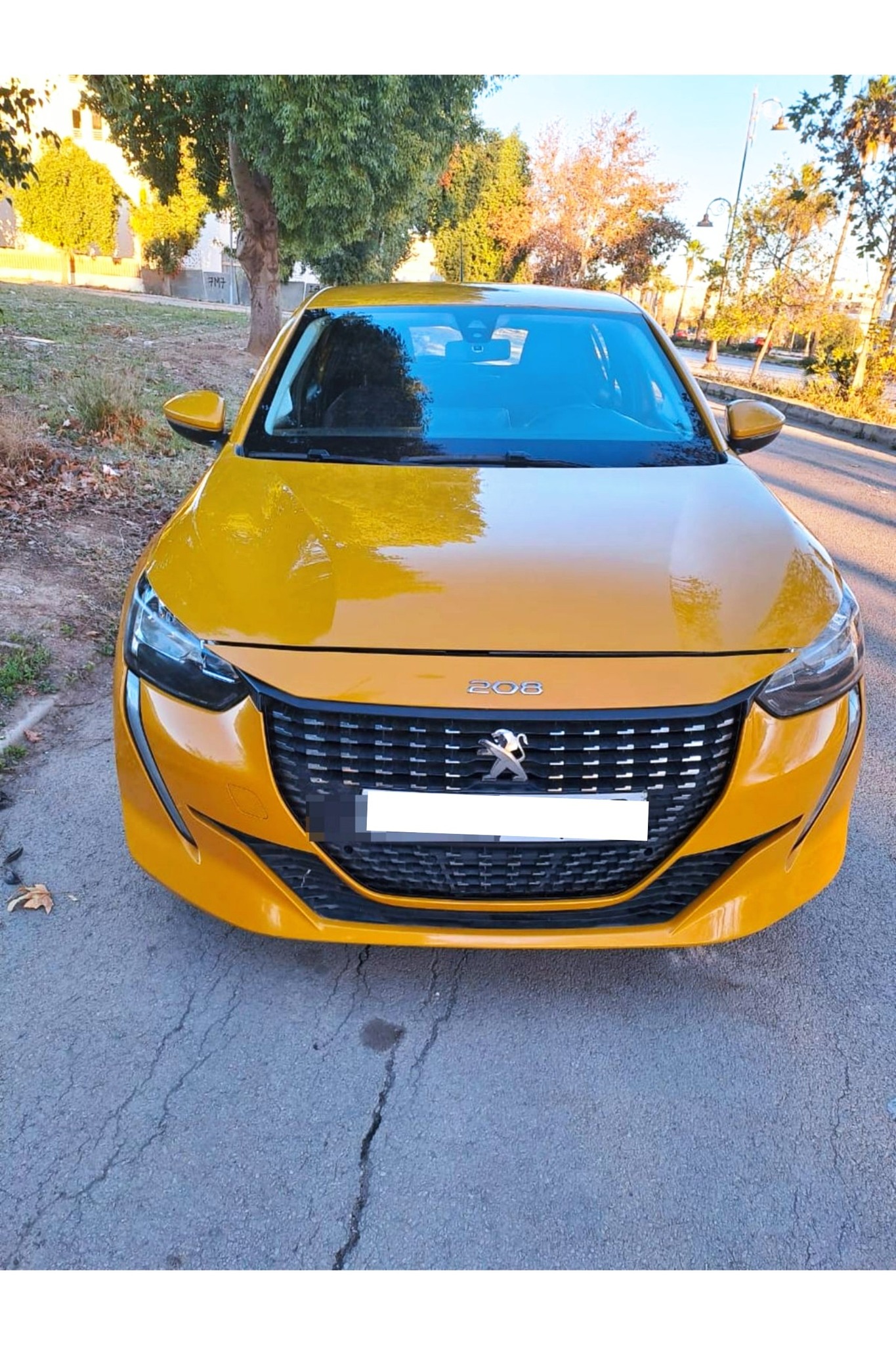 Peugeot 208 Diesel 2021